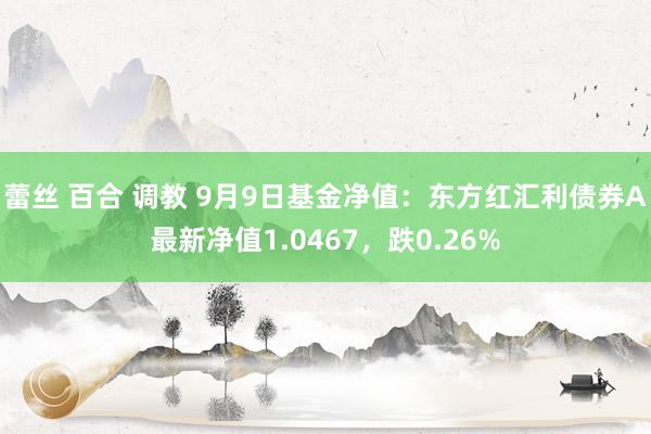 蕾丝 百合 调教 9月9日基金净值：东方红汇利债券A最新净值1.0467，跌0.26%