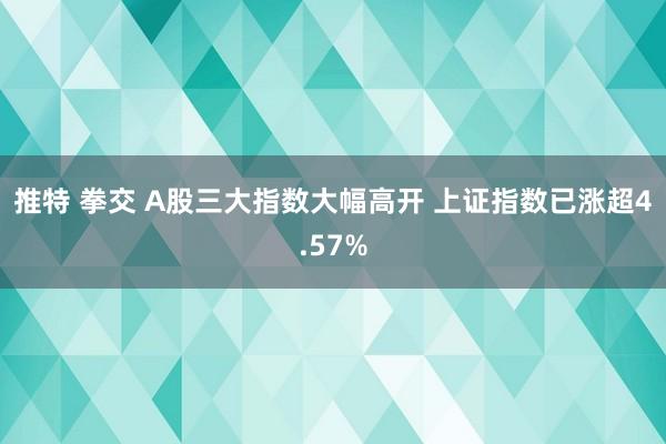 推特 拳交 A股三大指数大幅高开 上证指数已涨超4.57%