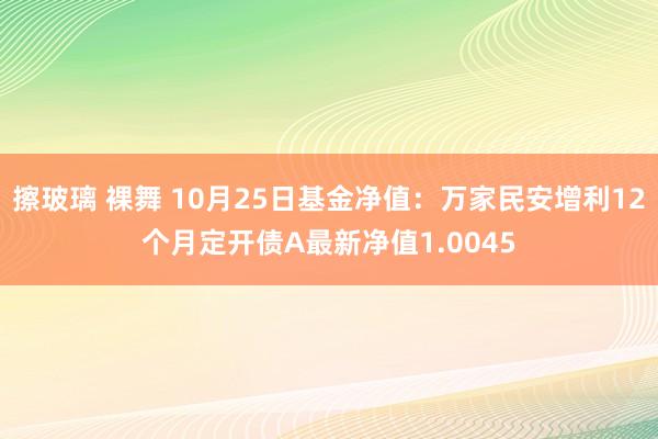 擦玻璃 裸舞 10月25日基金净值：万家民安增利12个月定开债A最新净值1.0045