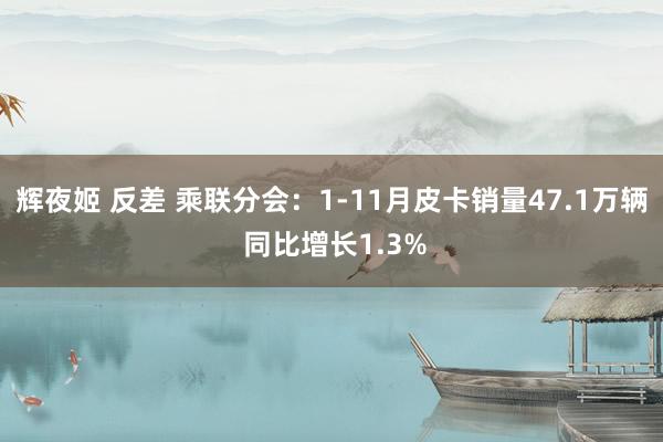 辉夜姬 反差 乘联分会：1-11月皮卡销量47.1万辆 同比增长1.3%