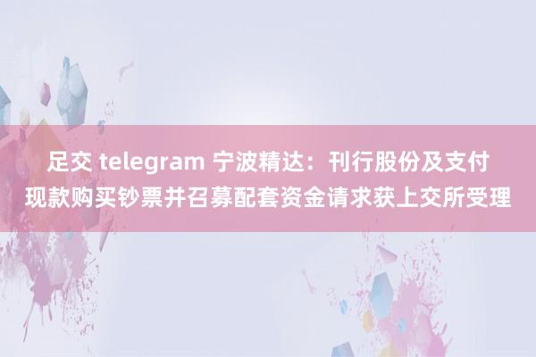 足交 telegram 宁波精达：刊行股份及支付现款购买钞票并召募配套资金请求获上交所受理