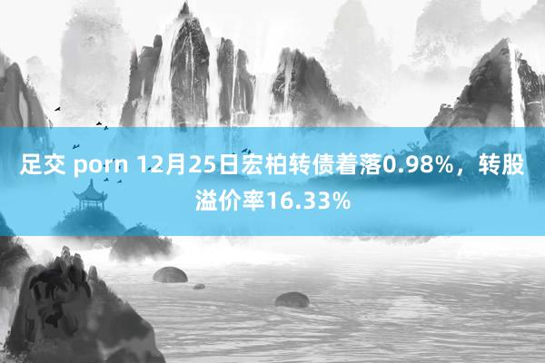 足交 porn 12月25日宏柏转债着落0.98%，转股溢价率16.33%